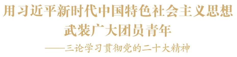 图2 用习近平新时代中国特色社会主义思想武装广大团员青年.png